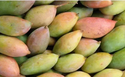 Fruits