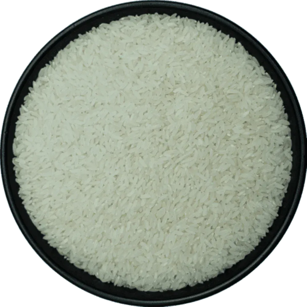 Non Basmati IR 64