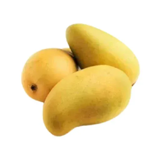 Fresh Kesar Mango